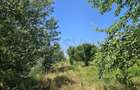 Teren intravilan de 8227 mp, în Băneasa - 8