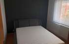 Apartament 2 camere Brancusi - 2