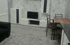 Apartament cu 1 si 2 camere Tatarasi - 3