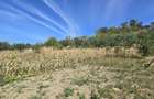 Teren intravilan in Manolesti Deal - 3