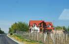 Casa P+1 mobilata, utilata in Gruiu la 20 km de Bucuresti - 8