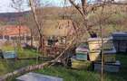 Teren Construcții de 6400 mp, în Dijir - 9