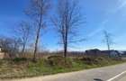 Teren Intravilan 2579 m2 in Mereteu, Vintu de Jos, Judetul Alba - 15 km de Alba Iulia - 1