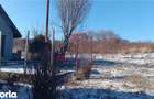 Visan str Valea viilor TEREN 1616mp intravilan lot pt constructie casa - 3