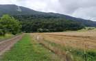 Bra?ov Bartolomeu- Cucului,Intravilan 16.500mp,dezvoltare rezidentiala - 3