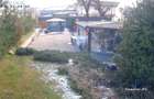 Cafenea cu terasa la Parcul Carol - 3