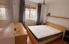 Apartament 2 camere Crangasi - 7