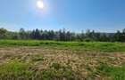 Teren Construcții intravilan de 1100 mp, în Făget - 1
