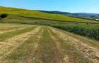 Teren agricol extravilan de vanzare in satul Tarpesti, jud. Neamt - 3