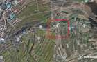 Teren agricol extravilan de 5683 mp, în Dâmbul Rotund - 2