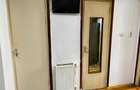 Apartament 1 camera, Dambu - 9