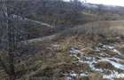 Vand teren Bran - Sohodol - 3