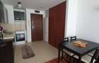 Inchiriere apartament 2 camere, ROSE GARDEN - 21