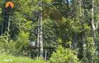 Teren 2.180 mp in Predeal cu platforma betonata 1.000 mp si post trafo - 10