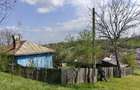 Casa cu 10.300 mp la 15 km de Craiova - 5