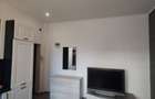 Inchiriere Apartament 2 camere d.na Stanca - 3