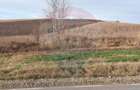 Teren extravilan 800 mp com. Secuieni, jud. Bacau - 1
