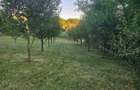 Vand teren intravilan, 950mp in sat Topircea jud. Sibiu - 6