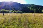 Teren Intravilan | Schitu Tarcau | 2089MP | Izvor | Platou - 15