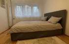 Apartament cu 2 camere decomandat în Dristor - 7