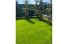 Apartament cu 5 camere decomandat în Pipera - 16