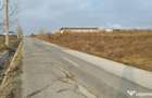 Teren intravilan Pielesti , suprafa?a 10.000mp deschidere - 1