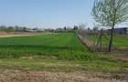 Vand casa la 30 km de Bucuresti - 7