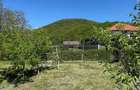 Teren intravilan tinca 600mp - 3
