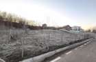 TEREN INTRAVILAN//COM. PLOPU//1300//2700 MP - 6