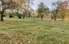 Casă cu 4 camere în Tomnatic - 8