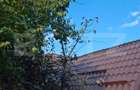 Casă individuală cu 2 camere cu Canalizare în Gruia - 9
