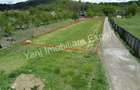Teren de 2414 mp, în Valea Uleiului - 10