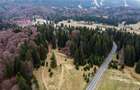 Teren intravilan de 1000 mp, în Poiana Brașov - 13