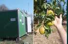 Teren intravilan ecologic - 6
