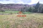 Teren extravilan Valea Doftanei 20.500 mp 6e mp - 8