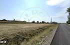 Teren intravilan 1450 mp 397 DN1F - Loc. Ghenci - Jud. Satu Mare - 2