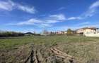 Teren Construcții intravilan de 2572 mp, în Domnești - 3