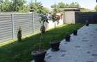 Apartament 3 cam. Carpati 2 - 2