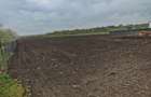 19.100mp, intravilan, E85, 60m deschidere in Secuienii noi - 6