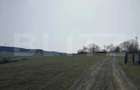 Teren intravilan, 15.904 mp, zona Dambu - 4