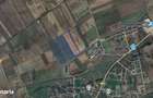Teren agricol de 65516 mp in Nojorid/ Oradea/ Bihor - 2