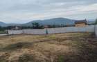 Se vinde teren in Almasul Sec - 7