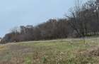 Teren agricol intravilan de 736 mp, în Snagov - 2