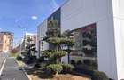 Studio cu AC inclus | direct dezvoltator Militari Auchan 10 min - 1