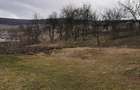 Casă cu Teren 2800 Mp în Petea - 2