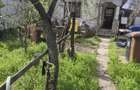 Vand casa bataneasca cart Romanesti - 3