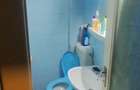 Apartament cu 2 camere semidecomandat în Doamna Ghica - 10