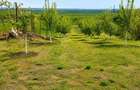 Casa complet renovata + anexa locuibila + livada, Macesu de Jos (Dolj) - 4