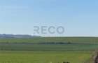 RECO Teren pentru investitie 4ha Tauteu-Zona Autostrazii Transilvani - 4