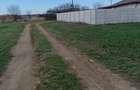 Teren intravilan de vanzare Sabareni Giurgiu 5000mp - 3